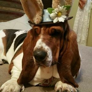 Meet your Posher, Theresa